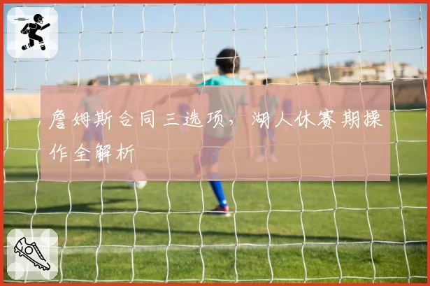 詹姆斯合同三选项，湖人休赛期操作全解析