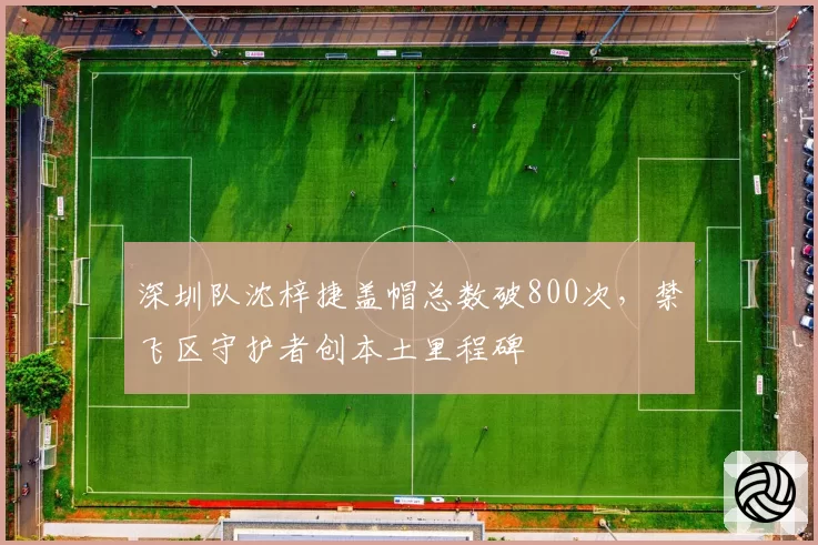 深圳队沈梓捷盖帽总数破800次,禁飞区守护者创本土里程碑