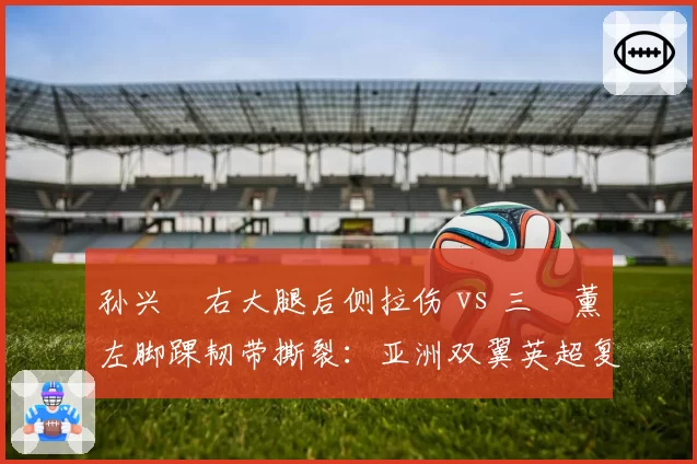 孙兴慜右大腿后侧拉伤 vs 三笘薰左脚踝韧带撕裂:亚洲双翼英超复出进度差异分析